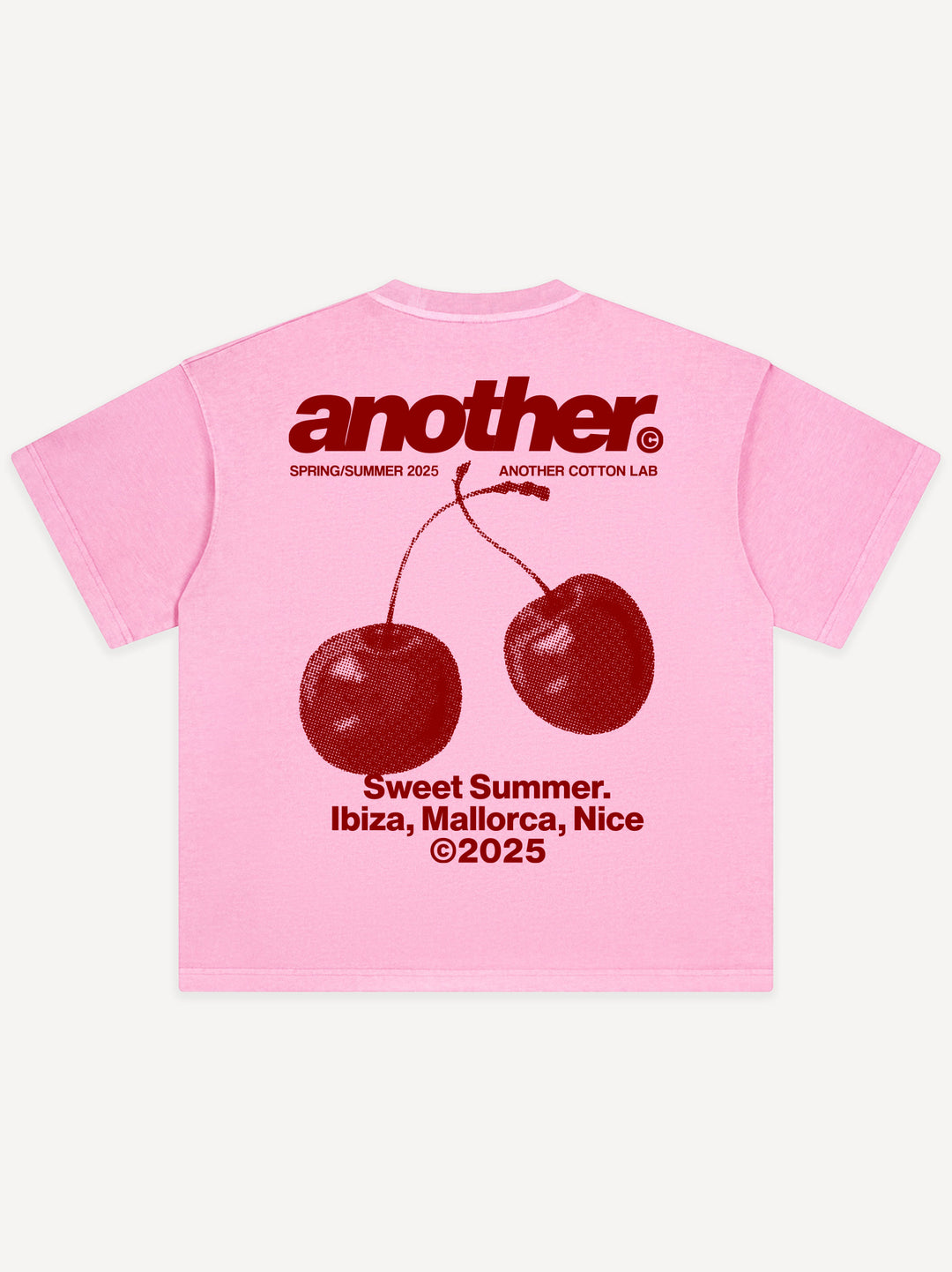 Another Sweet Summer 2025 Edition Oversized T-Shirt