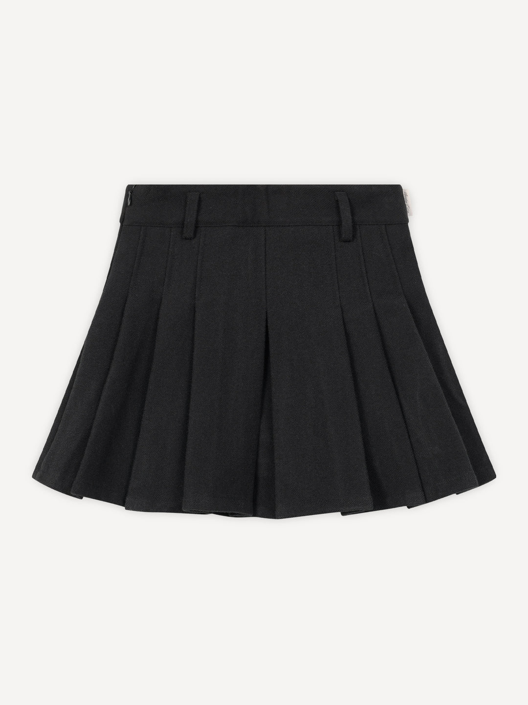 Another Pleated Skirt