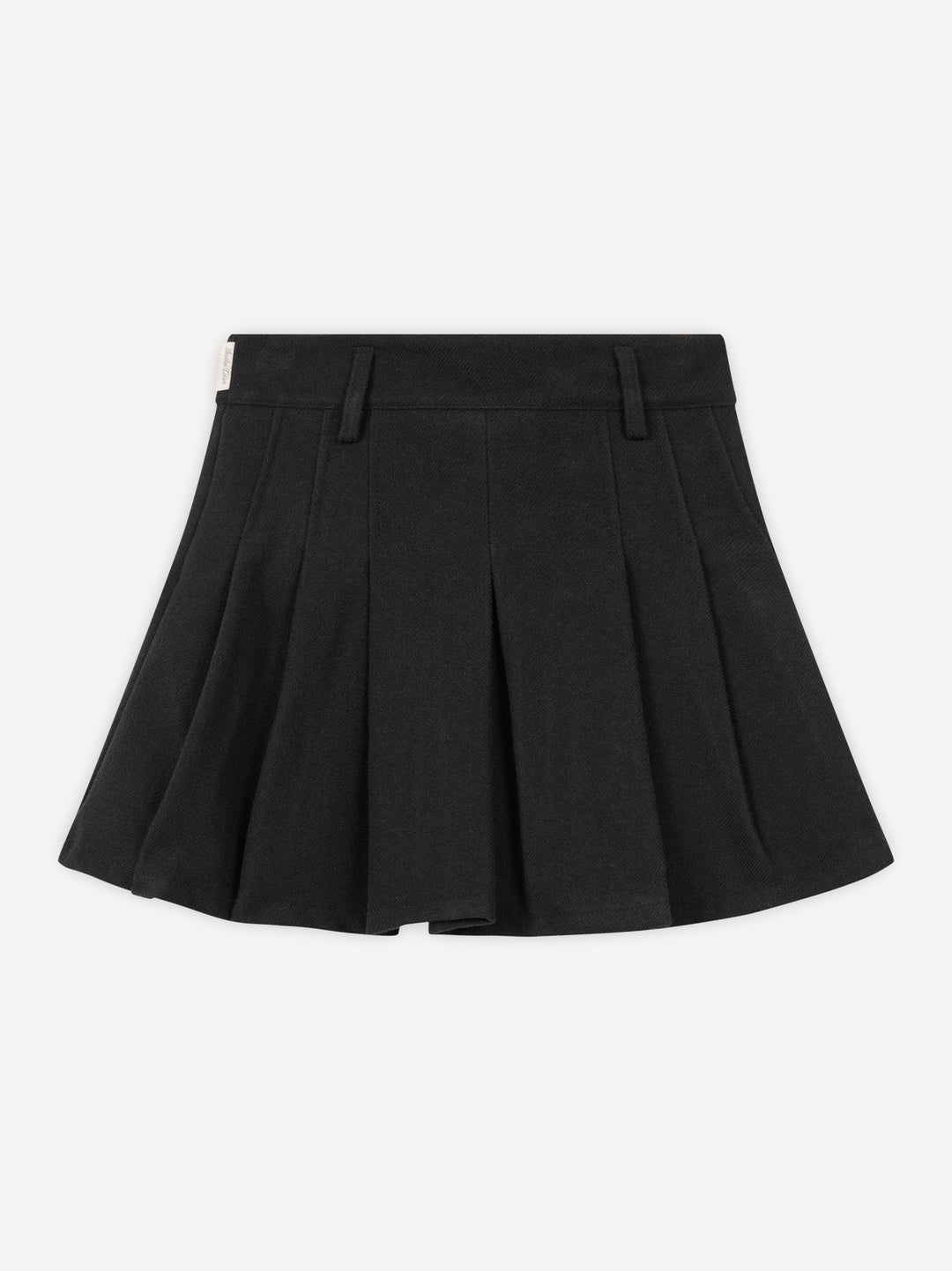 Another Pleated Skirt