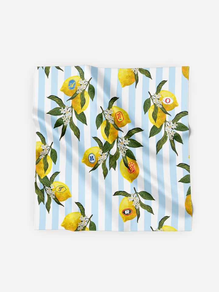 Another Bandana Handkerchief