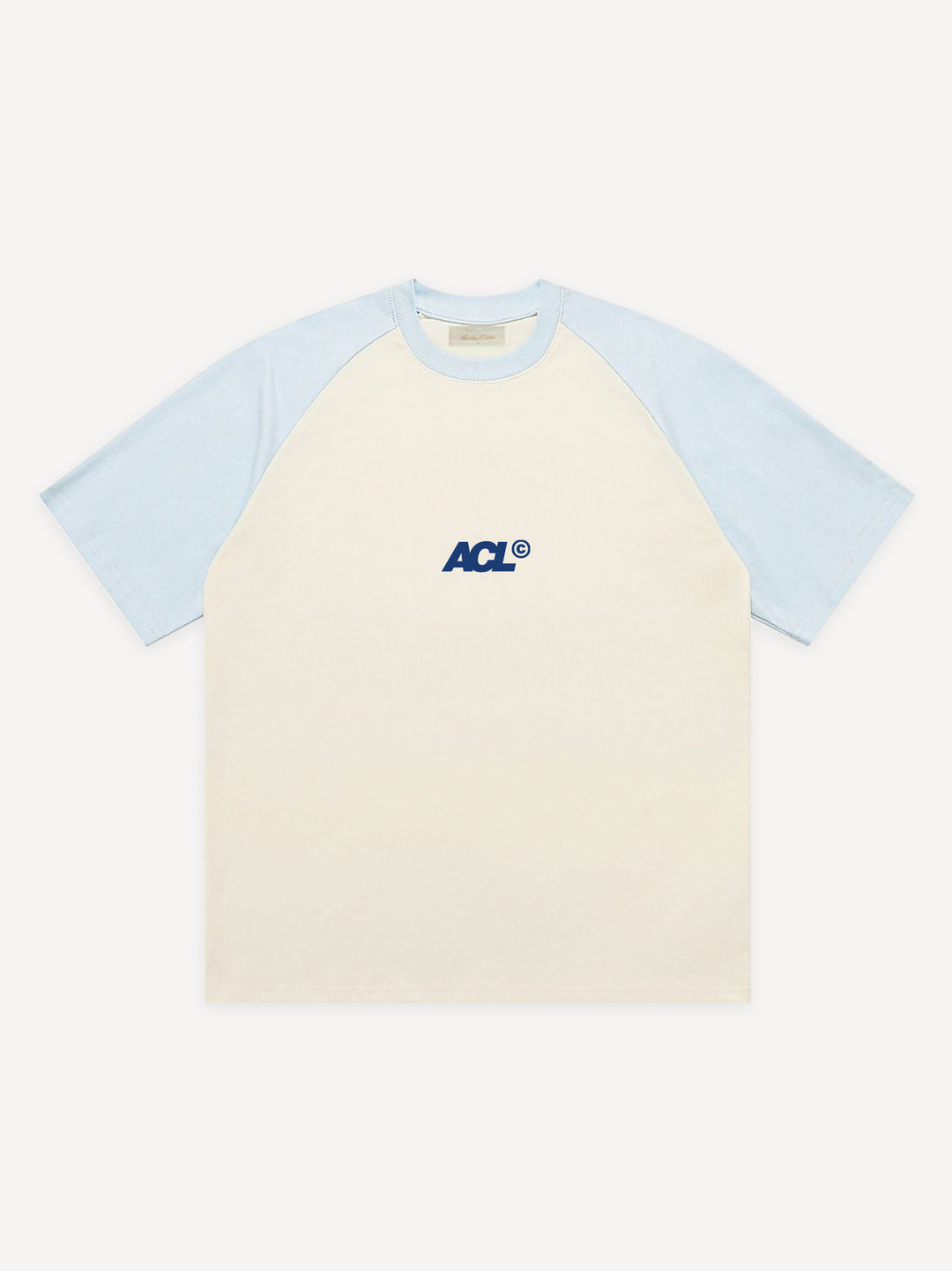 Taste Of Summer Oversized Raglan T-Shirt